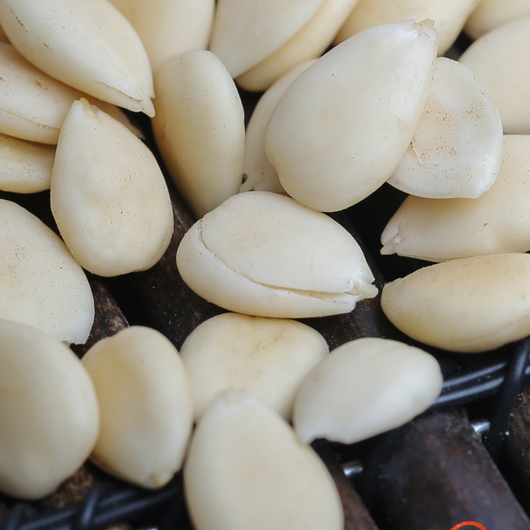 Southern Almonds Sweet Almonds 250g | Hand-Peeled, Can Be Eaten Directly, Suitable for Making Soy Milk and Boiling Water. Southern Almonds Sweet Almonds 250g | Hand-Peeled, Can Be Eaten Directly, Suitable for Making Soy Milk and Boiling Water.