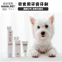 Japan KOJIMA kitty pooch toothbrush toothpaste suit edible with toothbrushing deity dedicated to calculus