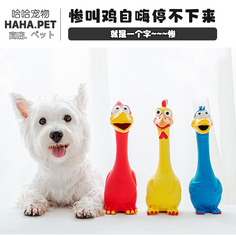 Dog voice toy natural latex screaming chicken to vent chicken resistant to bite and molar interactive relieve boredom pet supplies
