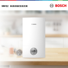 Аксессуары для котлов 博世壁挂炉天然气家用追光版g6100w热水器地暖暖气片两用系统锅炉