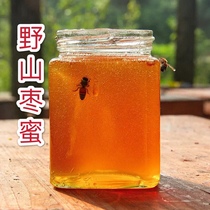 (Buy 2 get 1 free)Liquid Honey Crystal Honey Pure Natural Wild Mountain Jujube Flower Honey 500g per bottle