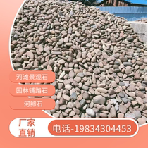 Shandong colorful paving cobblestone paving large river pebbles black and white stone raw stone fish tank decoration natural goose soft