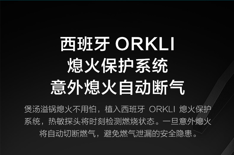 Боковая всасывающая печь с -790-28_07.jpg