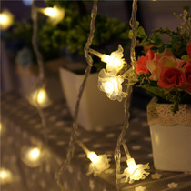LED waterproof outdoor lights flashing string festive roses wedding creative wedding room decoration explosion