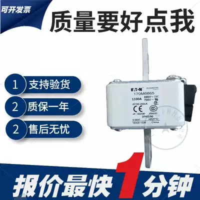 New 170M6663 170M6664 170M6665 170M6666 Baseman Fast Low Voltage Fuse