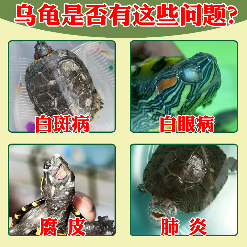 乌龟壳白斑真菌感染怎么治？护壳油能解决巴西龟腐皮烂甲吗？-api-淘宝好物网