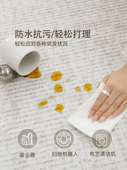 Carpet living room 2026 new Italian style high-end no-wash and wipeable bedroom thickened minimalist sofa no-care floor mat