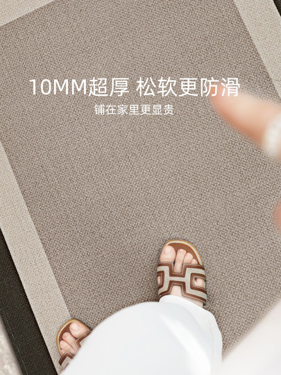 Entrance door floor mat 2026 new style high-end dirty-resistant no-wash door mat home entrance door anti-slip special foot mat