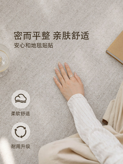 Carpet living room 2026 new light luxury high-end no-wash wipeable bedroom thickened waterproof floor mat home studio