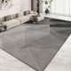 Modern simple carpet living room 2024 new sofa coffee table blanket light luxury high-end home wash-free room floor mat