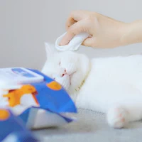 Làm sạch Mèo Pet Khăn lau Giấy lau Túi làm đẹp Đồ dùng cho chó Đồ dùng làm sạch khác Sản phẩm làm sạch khác lược chải lông mèo