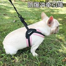 Douyin with the same style of Bago dash dog leash strap dog leash Schnauer fighting bully dog leash dog leash