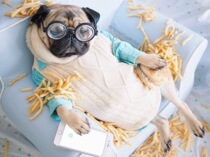 The difference postage remake the connection (take a few yuan and shoot a few directly)