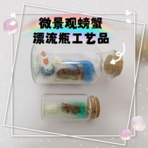 Dalian Hishell Decoration original handmade crab shell conch drift bottle medium large size