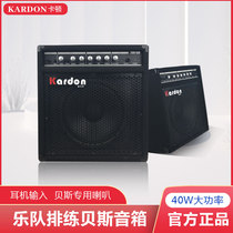 kardon Carton electric bass speaker special band practice rehearsal performance bass playing and singing audio with compression