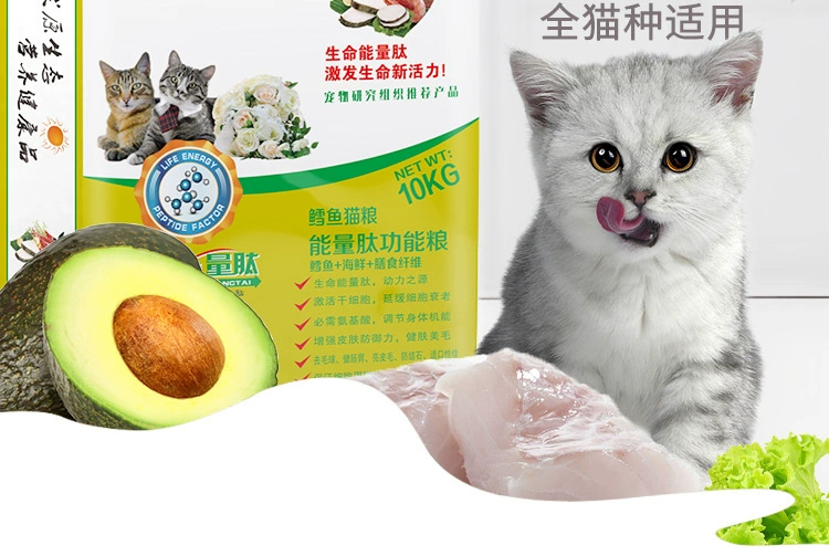 Thức ăn cho mèo chính thức làm bánh kem cho tất cả mọi người - Cat Staples hạt catsrang cho mèo con