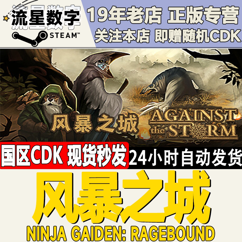 Steam Genuine Chinese Region Key Against the Storm Dark Night Watchman Dlc