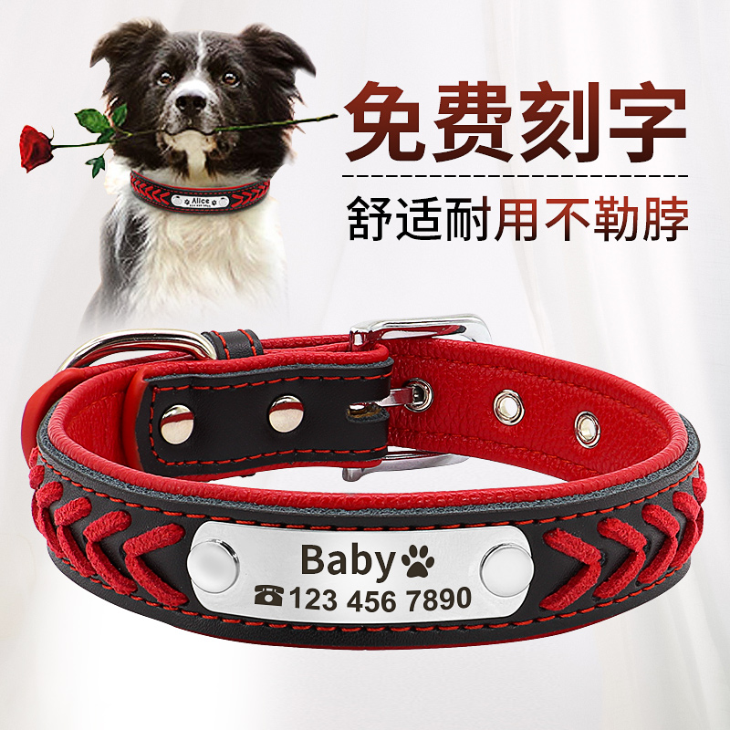 Customize the Dog Item Circle Lettering Anti-Lose Pet Dog teddy Cofund Mao dog neck ring with large canine nameplate