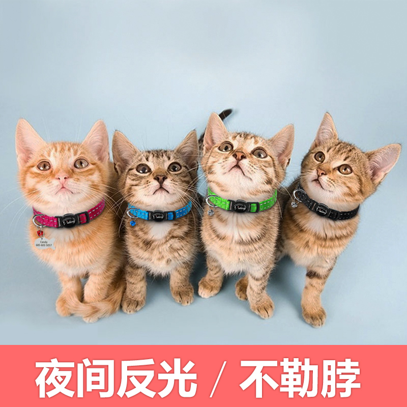 Kitty custom hanging tag item lap young cat anti-lose identity card kitty cute lettering butterfly knot pet orange cat nameplate