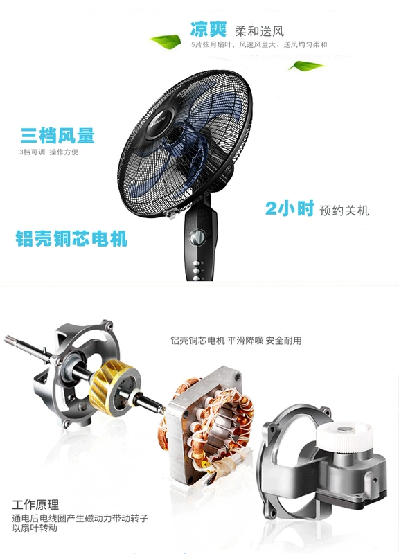 Quạt điện Emmett 16 inch thẳng đứng lắc đầu ký túc xá hẹn giờ cơ khí quạt sàn nhà - Quạt điện