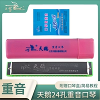 24 Kong Chu Xuexue C Tun Heavy Yin Box+подарки