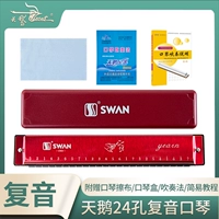 24 Kong Rose Beginner C Tun Yinkou Piano+подарки