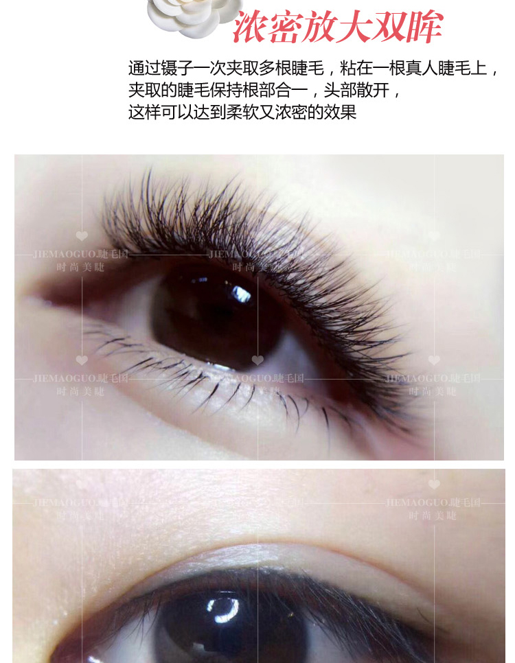 Không công nghệ một giây tự động nở lông mi từ hoa trà từ ghép Trồng lông mi giả tự nhiên dày mềm gel kích mí mắt