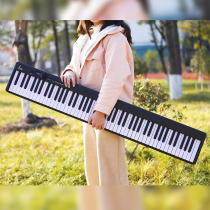 SLADE 88 Keys Electronic Piano Keyboard Instrucment Foldable