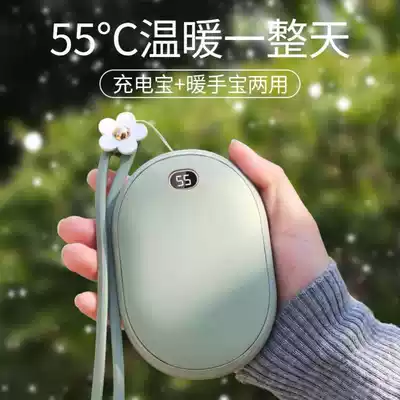 Handsome treasure mobile charging two-in-one dual-purpose hot water bag for girls to carry portable small winter artifact