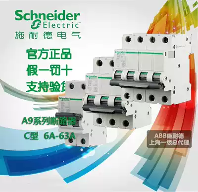 Schneider small circuit breaker IC65 series household small air switch type C 1P-4P 6A-63A