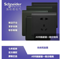 Schneider switch socket panel Fengshan write a black open two-open three-open socket panel Five-hole three holes