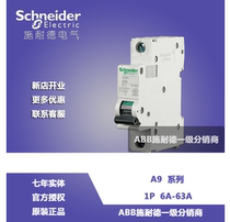 (Original)Schneider Mini Circuit Breaker IC65 Series 1P C1A A9F18101