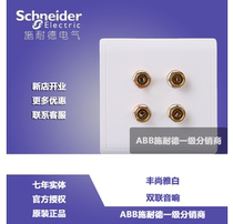 Schneider Feng Sheng White Series Switch Socket Panel Four - head Sound Double Couple Socket 86