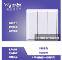 Schneider switch panel 86 - type Fengshan Bai Fengshan Bai Triple - Control Triple Control