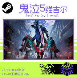 Steam Genuine Chinese Region Key Devil May Cry 5 Vergil Dlc in Stock