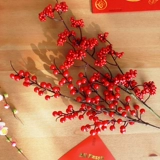 Зимний Qingguo новогодний новый год.