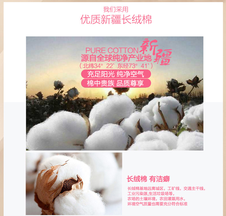 Slip Moyen-âge simple en coton - Ref 642545 Image 11