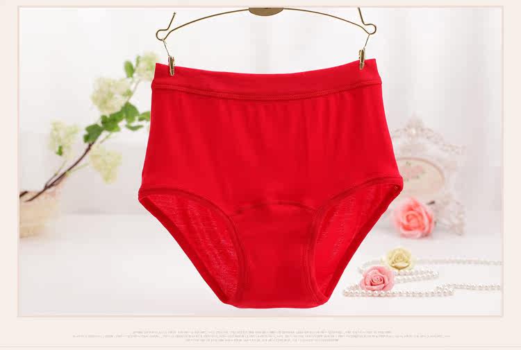 Slip Moyen-âge simple en coton - Ref 642545 Image 20