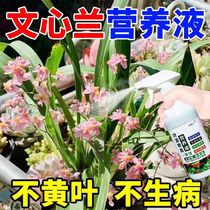 Oncidium nutrient solution is specially designed to cure non-flowering withered yellow leaves promote flowering and extend the flowering period without dilution special liquid fertilizer
