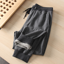 High Gram Heavy Hairy Ring Cotton Solid Cut Foreign Trade Mens Clothing Autumn Winter Tightness Waist Thickening Warm And Casual Pants Wei Pants