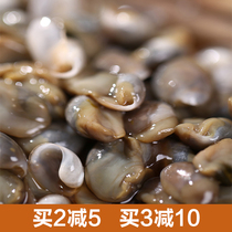 Ningbo specialty 5A drunken mud snail special high-grade yellow mud snail easy canned ready-to-eat seafood without sand 420 grams
