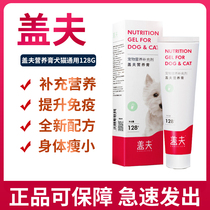 Geff Nutritional Cream for Dogs and Cats Universal Puppies and Kittens Supplementary Nutrition and Fat Conditioning Stomach and Pet Health Products