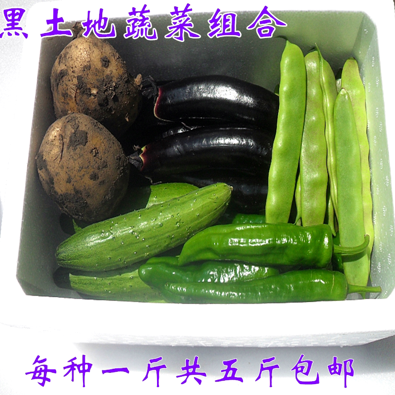 Northeast Xiaoyuan Oil Beans Eggplant Spicy Girl Dry Cucumber Noodles Potato Combination Vegetables and One Shoulder