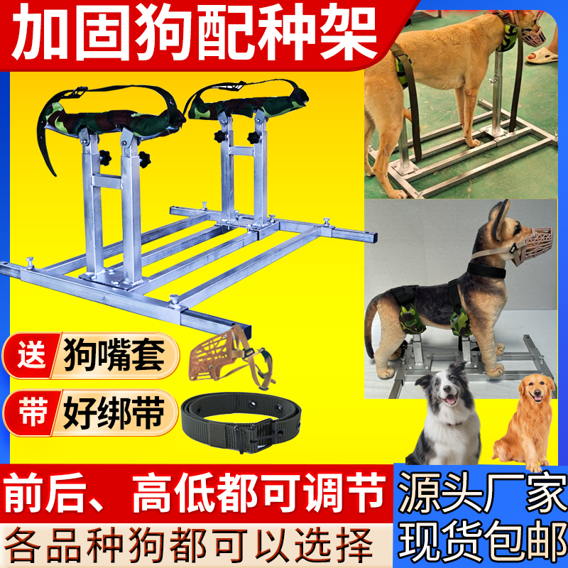 Dog Breeding Stand for Large, Medium, and Small Dogs, Dog Support Frame, Dog Stand for Golden Retrievers, Shiba Inu, Tibetan Mastiff, German Shepherd, Fixed Dog Breeding Stand