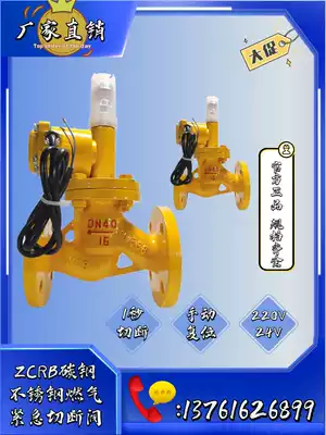 Gas explosion-proof emergency shut-off valve dn150 gas gas ammonia biogas 220V normally open solenoid valve ZCRB