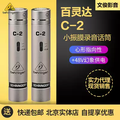 BEHRINGER Bailingda c-2 C2 heart-shaped pointing pair small diaphragm capacitor Chorus recording microphone
