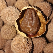 Putian Glutinous Rice Dried Lychees and Large Fruits 500g Fujian specialty dry goods fresh core small meat thick and plump