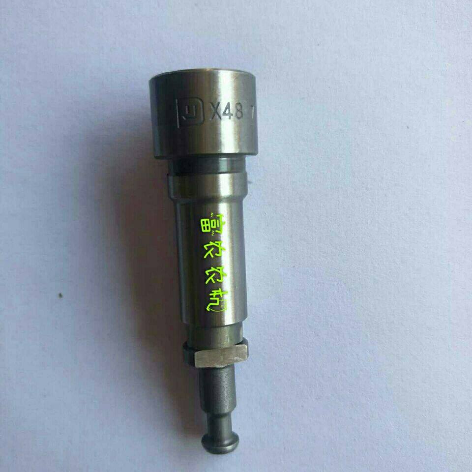 Changchai Changzhou Jianghuai Diesel Engine Accessories ZS1100 11051110 1115 1125 Diesel Pump Plunger