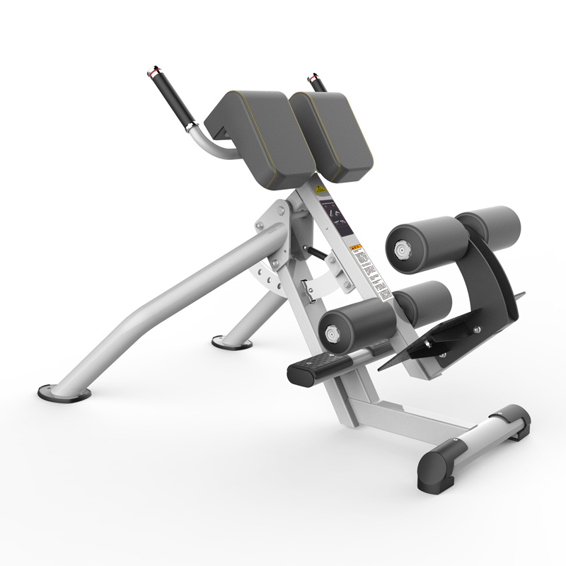 Conqiang 8224 Adjustable Roman Chair Fitness Room Freelance Trainer Mechanical Fitness Equipment