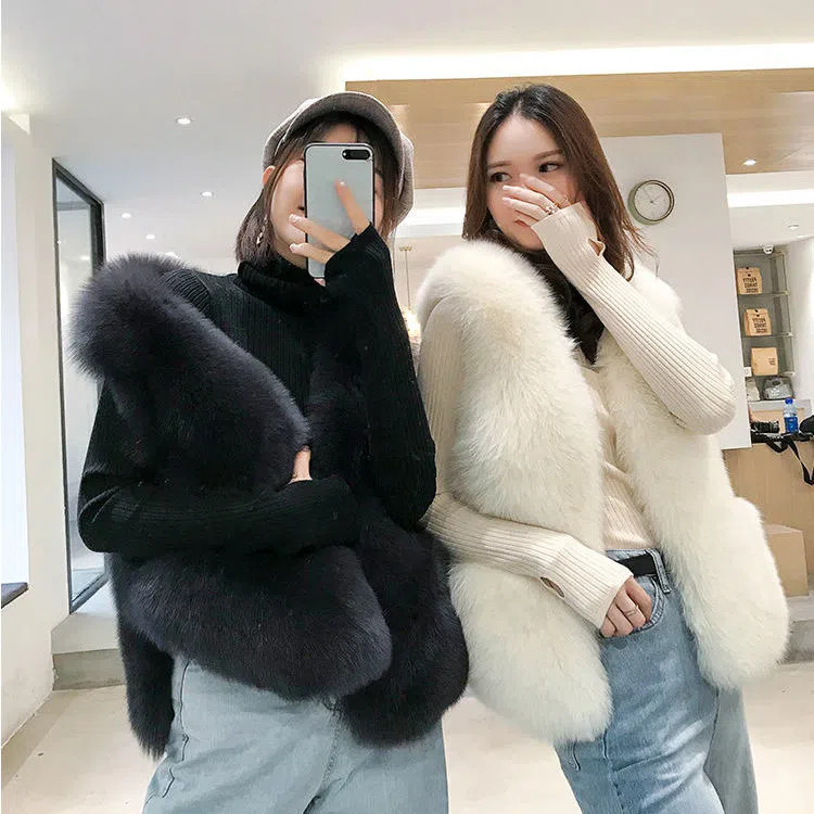 Fur Vest for Women, Short Style, 2022 Autumn and Winter, New Korean Style, Slim Fit, Faux Fox Fur Vest